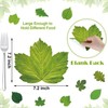 Tenceur 150 Pcs Parchment Paper Leaves 7.2 in Spring Large, Green gallery