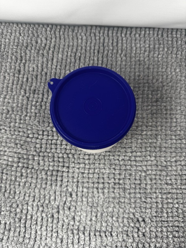 Tupperware Hamburger Keeper w/o Press or ring. VTG 70s. 6 pcs & lid A-12 gallery