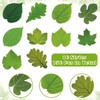 Tenceur 150 Pcs Parchment Paper Leaves 7.2 in Spring Large, Green gallery