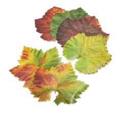 Parchment Paper Leaves for Cheese & Charcuterie 7 x 7 inches, Grape Variety