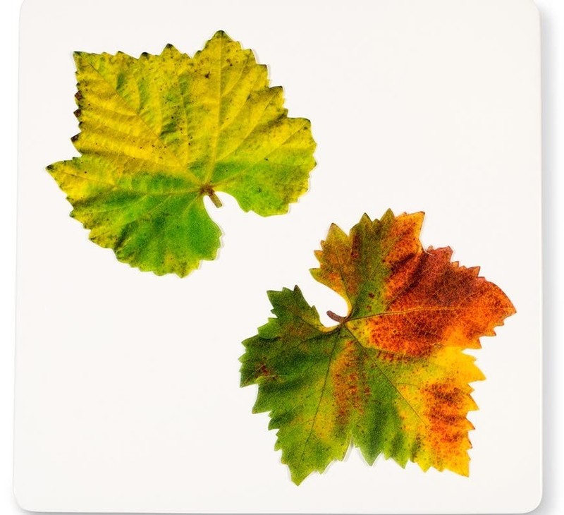 Parchment Paper Leaves for Cheese & Charcuterie 7 x 7 inches, Grape Variety gallery