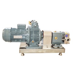 Hygienic Grade Cam Rotor Pump High Viscosity Transport 220V three-phase