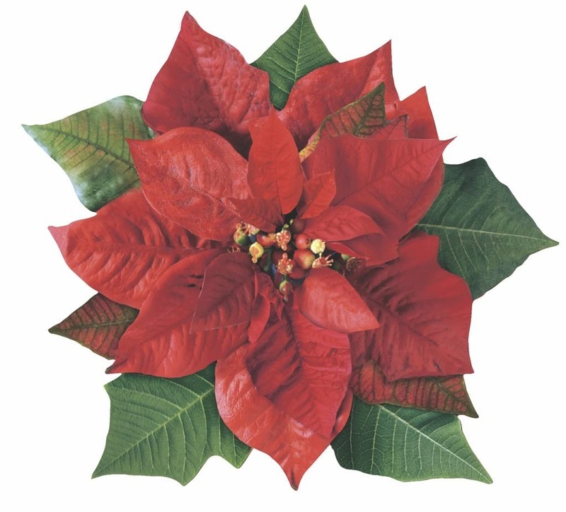 Parchment Paper Leaves for Cheese & Charcuterie 7 x 7 inches, Poinsettia gallery